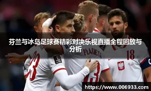 芬兰与冰岛足球赛精彩对决乐视直播全程回放与分析